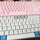 Race 3 versus Filco Majestouch 2 Tenkeyless, in pink.
